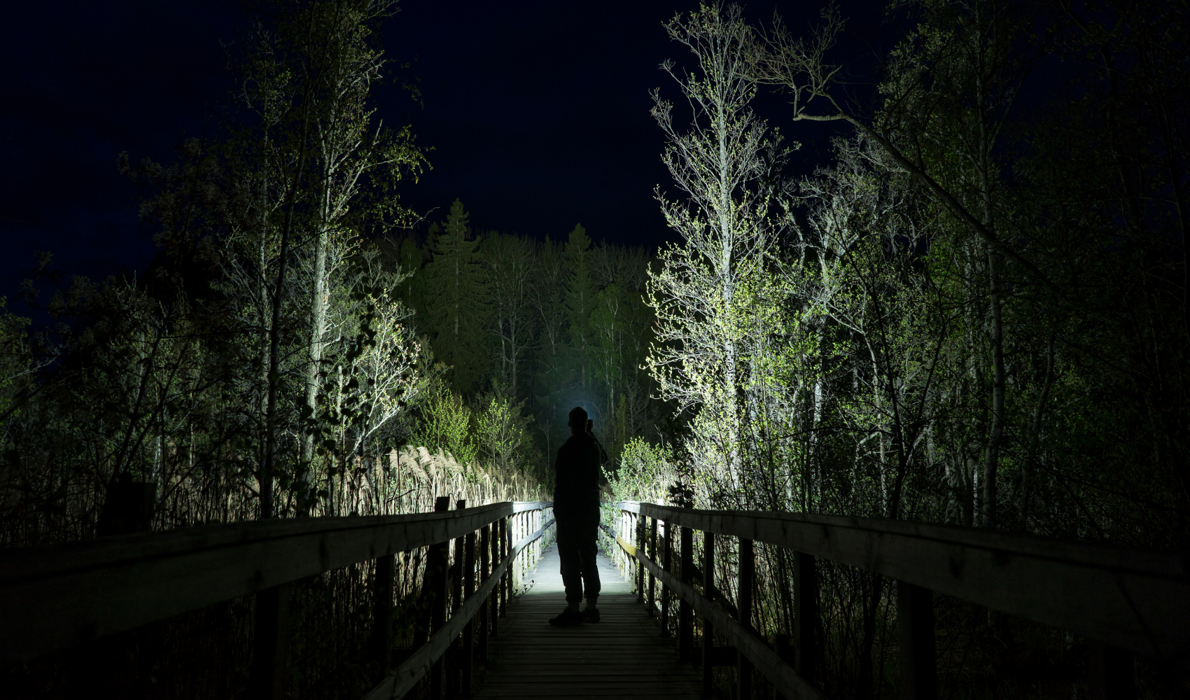 T40 Hunting Flashlight Guide For Night Hunts, Long-Range Spotting, and Outdoor Adventures