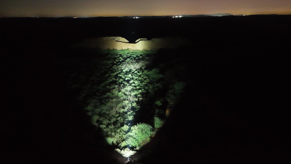 Brinyte PT16A Tactical Flashlight – Your Questions, Answered!