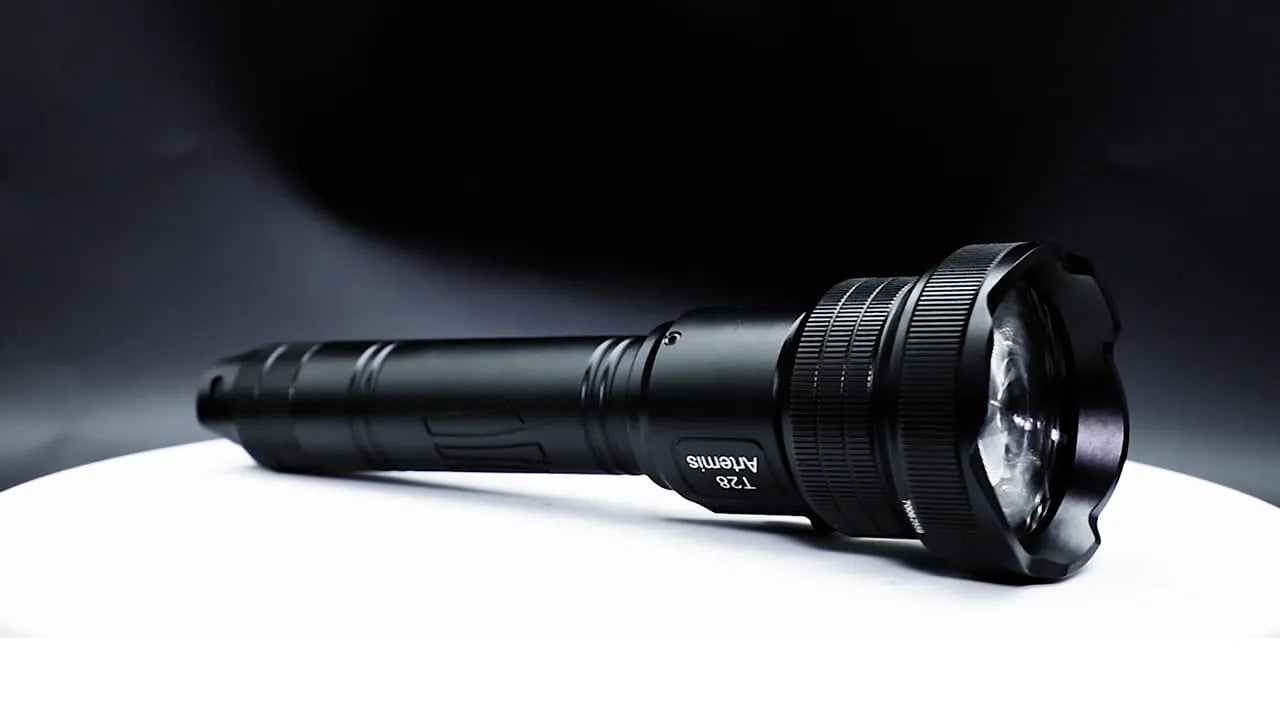 Complete Night Hunting Lighting Strategy: Color, Brightness, Gear & Technique