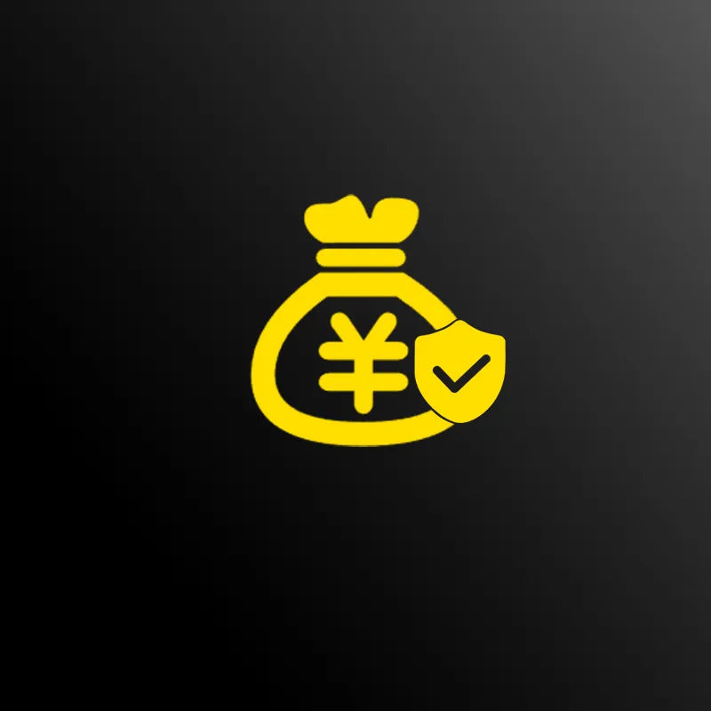 Brinyte BFCM Price Guarantee Icon