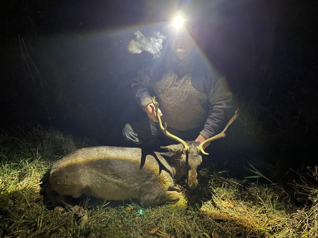 User best color light for coyotes hunting