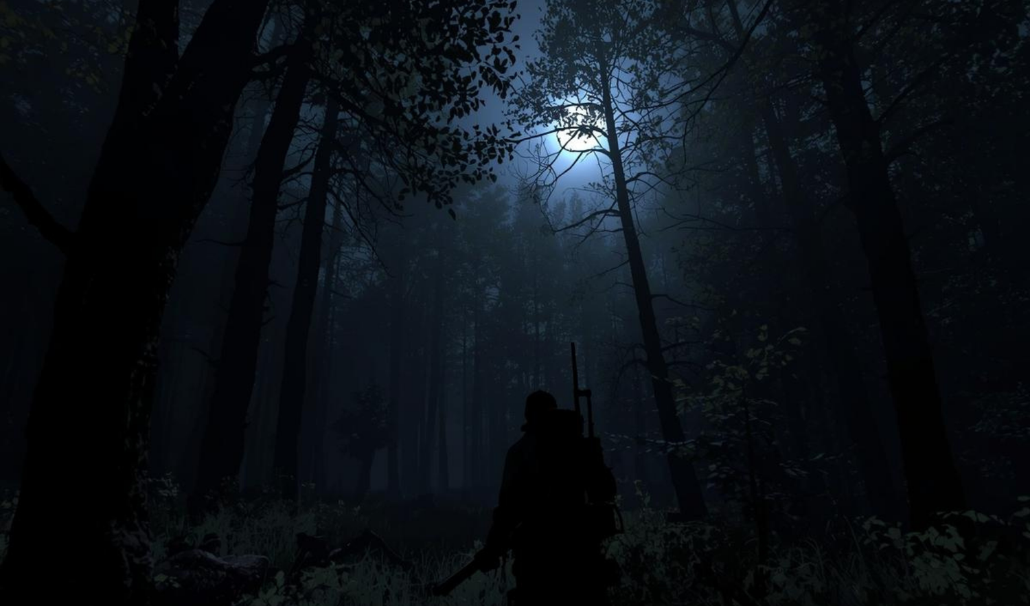 Stealth Approaches for Night Hunting: How to Move, Observe, and Close the Distance Undetected