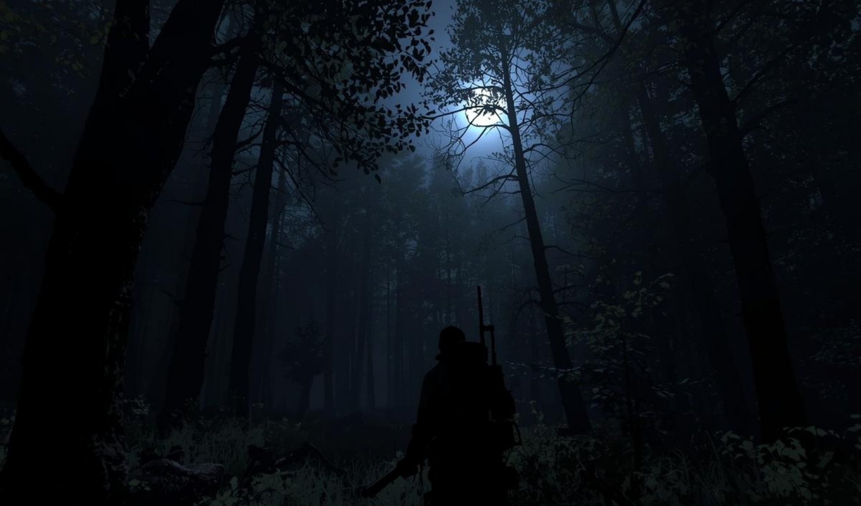 Stealth Approaches for Night Hunting: How to Move, Observe, and Close the Distance Undetected