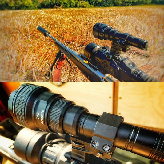 Choosing the Best Light for Coon Hunting